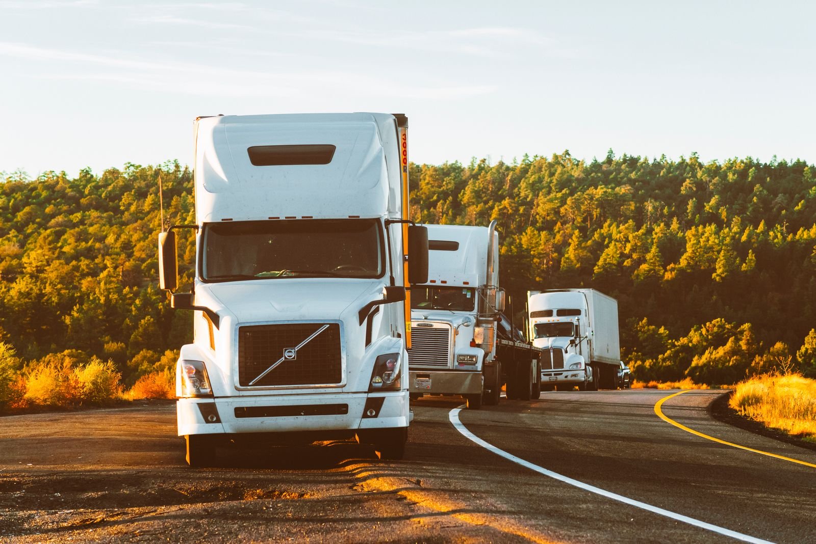Trucks lined up on a forest highway at sunrise